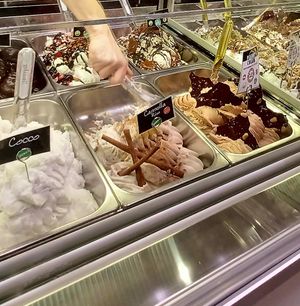 Incredible vegan gelato! at Gelaaati di Marco in Barcelona