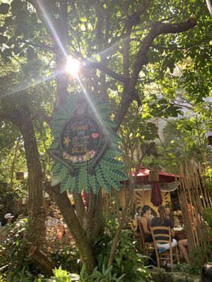 Entrance   at La Cueva del Chango in Playa Del Carmen