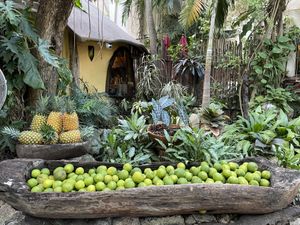   at La Cueva del Chango in Playa Del Carmen