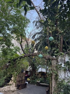   at La Cueva del Chango in Playa Del Carmen