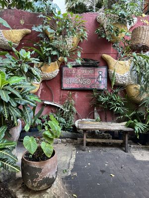   at La Cueva del Chango in Playa Del Carmen