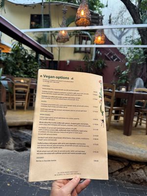   at La Cueva del Chango in Playa Del Carmen