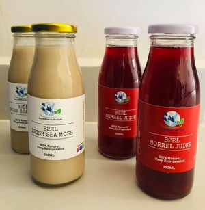 Fresh Juices at Back2Eden in Boquete