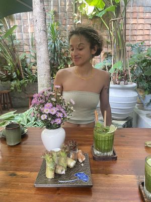 Fresh rolls and basil lemonade  at Sangha Vegetarian Restaurant in Da Nang