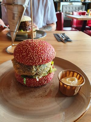  at Terra Nova in Putten