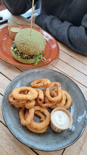 Spinach burger and onion rings at Terra Nova in Putten