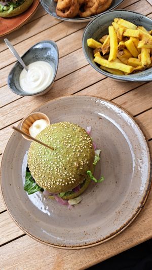 Spinach burger and side of fries at Terra Nova in Putten