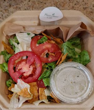 side salad  at Plant Base Cafe in Santa Fe