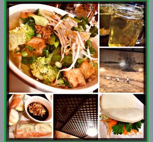 Vegan Noodle Soup, veggie Bao buns and veggie Spring rolls with a peanut sauce. We enjoyed our Jasmine tea as well. 1/2019 at Pho Company Noodle House in Deland