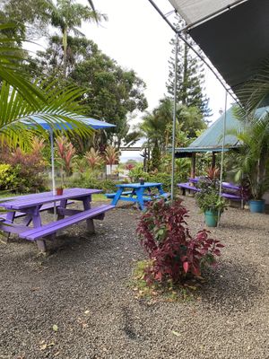 Patio seating at Maui Garden Grove Cafe in Haiku