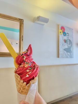 Vegan Sorbet and Waffle Cone at Olo Dessert Studio in Albuquerque