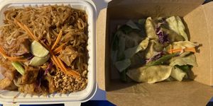HUGE portion of pad Thai and an order of the curry steamed dumplings. at Thai Vegan in Albuquerque