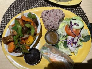 pumpkin, eggplant, tofu combo meal   at Thai Vegan in Albuquerque