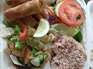 Stir fry veggies dinner combo at Thai Vegan in Albuquerque