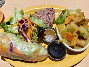 Lunch special. Curry, spring roll, rice, salad. Yum. at Thai Vegan in Albuquerque