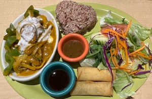 Red curry combo  at Thai Vegan in Albuquerque