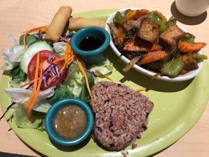 Eggplant Pumpkin Tofu in garlic sauce  at Thai Vegan in Albuquerque