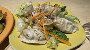 Dumplings  at Thai Vegan in Albuquerque