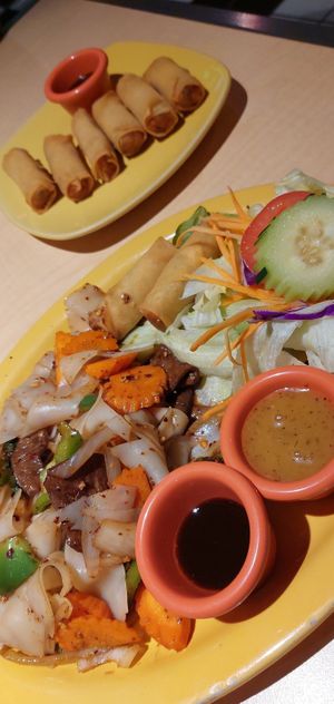 Spicy noodles with pepper steak and spring rolls at Thai Vegan in Albuquerque