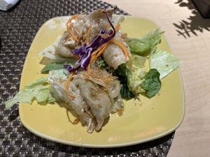 Veggie dumplings 🥟   at Thai Vegan in Albuquerque