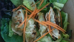 Veggie Dumplings at Thai Vegan in Albuquerque
