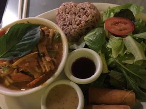 Curry with Brown Rice, Salad, and Spring Rolls at Thai Vegan in Albuquerque