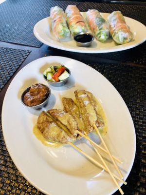 Chicken satay and freshy rolls...so good! at Thai Vegan in Albuquerque