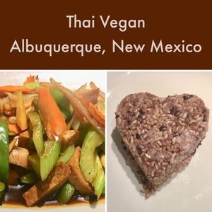 Fresh Ginger Sauce Vegetables & a side of rice at Thai Vegan in Albuquerque