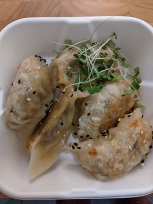 Vegan gyoza at Chunky Cat SUSHI in Edinburgh