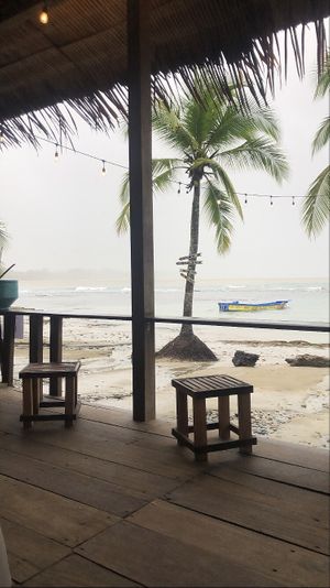 View  at Grow in Puerto Viejo De Talamanca