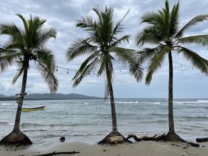 Stunning view ♥️ at Grow in Puerto Viejo De Talamanca