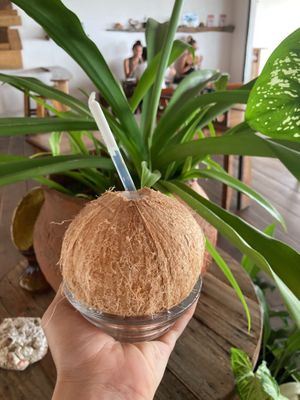 Natures perfection! at Grow in Puerto Viejo De Talamanca