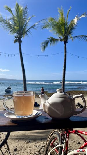 rose cacao tea  at Grow in Puerto Viejo De Talamanca