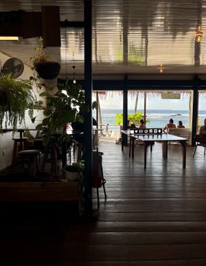 vibe  at Grow in Puerto Viejo De Talamanca