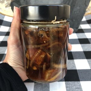 Tofu fermentado  at Herbivore Plant Based & Fermented Food in Reus