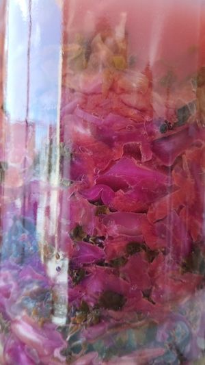 El meu xucrut després d'una setmana at Herbivore Plant Based & Fermented Food in Reus