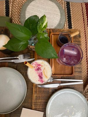  at Herbivore Plant Based & Fermented Food in Reus