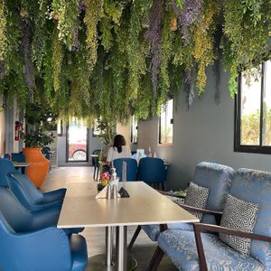 Cute at Just Vegan - Jumeriah in Dubai