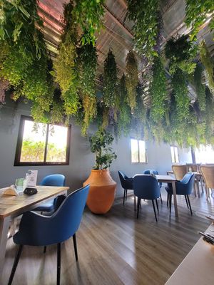  at Just Vegan - Jumeriah in Dubai