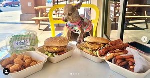 From left to right: Tater Tots, Baked Vegan Vixen's Funfetti Cake, Bac'n Chik'n Sandwich, Chik'zen Sandwich, Bac'n Wrapped Dog, Sweet Potato Fries at Veg & Go Plant Based in Riverside