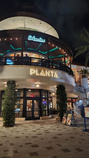  at PLANTA in West Palm Beach