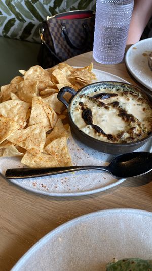 Artichoke dip  at PLANTA in West Palm Beach