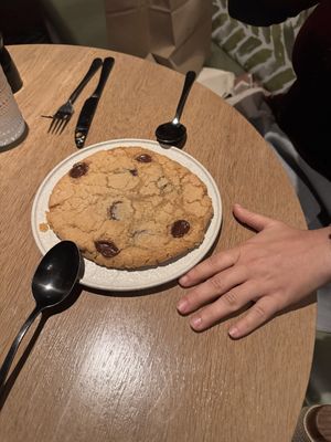 Cookie - massive and more like cookie dough   at PLANTA in West Palm Beach
