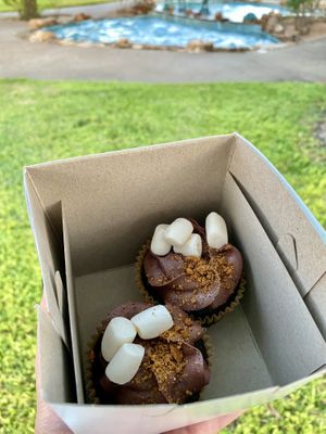 S’mores cupcakes at Trendy Eats & Vegan Treats in Corpus Christi