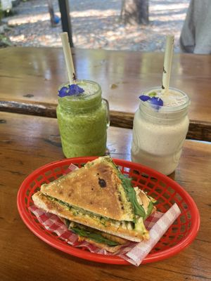Goodness Gracious Panini  at Turtle Rock Cafe in Cape Tribulation