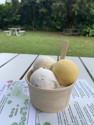 Vegan  at Daintree Ice Cream Company in Diwan