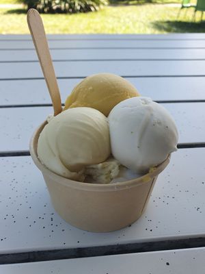 4 flavours in one. Delicious at Daintree Ice Cream Company in Diwan