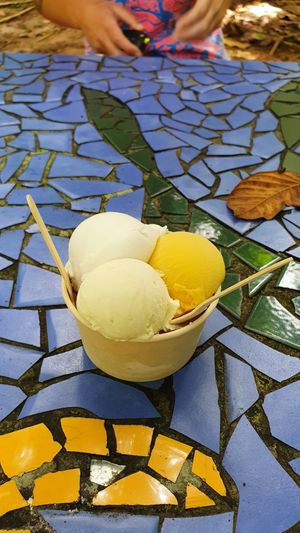  at Daintree Ice Cream Company in Diwan