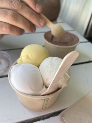 Vegan signature bowl   at Daintree Ice Cream Company in Diwan