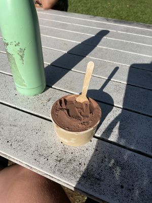 Chocolate coconut ice cream   at Daintree Ice Cream Company in Diwan